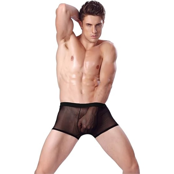 Underkläder för män Sexiga Mesh andas boxer Låghöjd Cool Boxers Pack