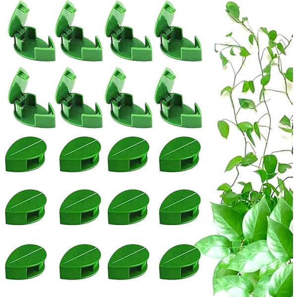 50 Pieces Plant Clips Climbing Plant Fixing Plant Fixing Clip Self-Adhesive