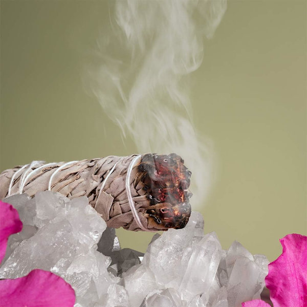 Hvid salvie bundter - (3 stk.) - til hjemmerensning, røgelse, healing, meditation og smudgeritualer (4 tommer)