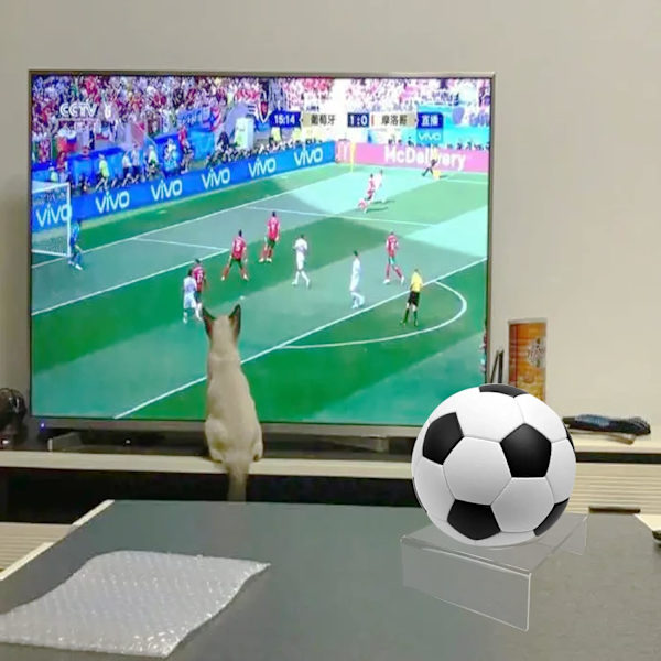 Pieces Ball Display Stativ Holder, Akryl Ball Holder, Ball Display Stativ Holder, Transparent Ball Holder for Basketball Fotball Volleyball Rugby