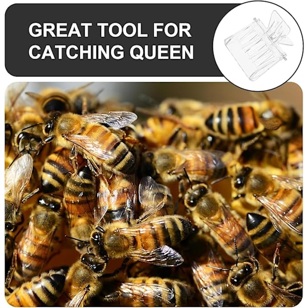 Pakke med 5 Queen Bee Bee Cage Clips