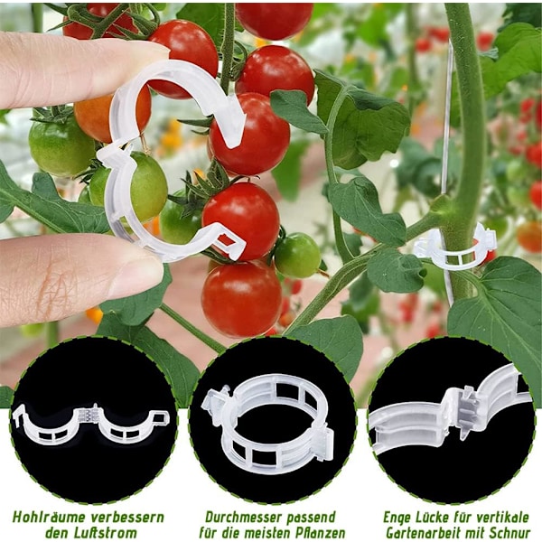 Tomat krok för trädgård, tomatformad stöd krok, tomat stöd krokar, tomat krokar, tomat stöd, tomat stöd krokar med snöre