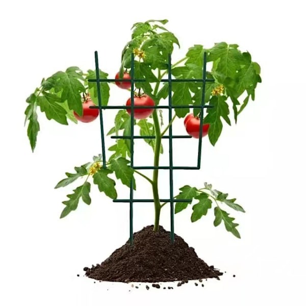 5 stk. Plantesupport i plast til klatreplanter