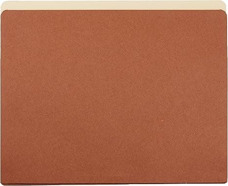 Basic Expanding File Pocket Folder Organizer, Letter Size, 3.5-In