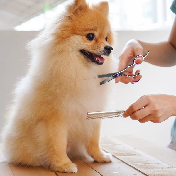 Hundesaks i rustfritt stål, hundestellsett med runde sikkerhetsspisser, inkludert tynnsaks, stellkam, buet saks, rett saks, lilla