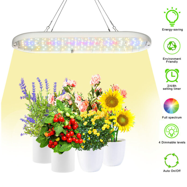 LED Plant Grow Light, Full Spectrum för Hydroponics inom växthus och inomhus B