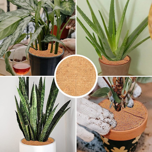 4 stycken kokosmattor för växter, skyddsskiva för kokosmattor, kokosfiber-mulchmatta, skydd för krukväxter (30 CM)