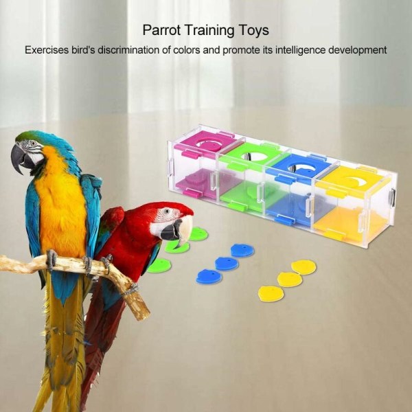 Fågelleksaker, färgglada papegojleksaker Intelligce Intressant fågelträning, Inter