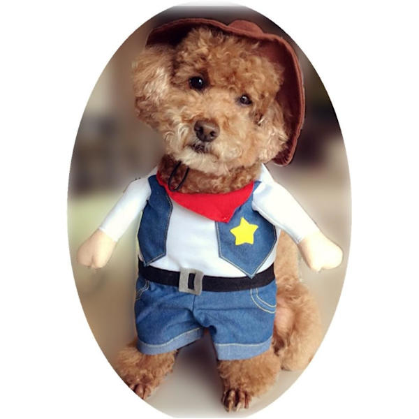 Cowboy hundekostume med hat Hundeklæder Halloween kostumer til kat og lille