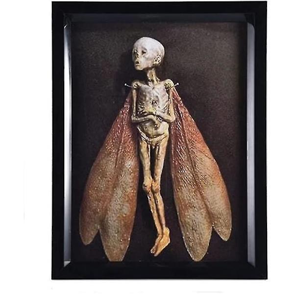 Förbannade föremål Död älva skugglåda Display Handgjord läskig mumifierad älvlik kropp Hotellbibliotek Bar Vardagsrum Hemkonst Prydnad Halloween Dekor