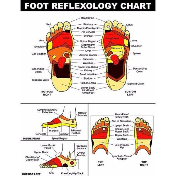 Fodmassagerulle - Lindring af plantar fasciitis, hæl, svang, muskelsmerter,