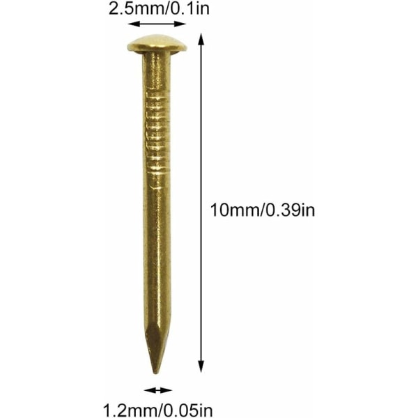 200pcs 1.2x10mm Small Brass Nails Small Round Head Nails For DIY Wooden Dec