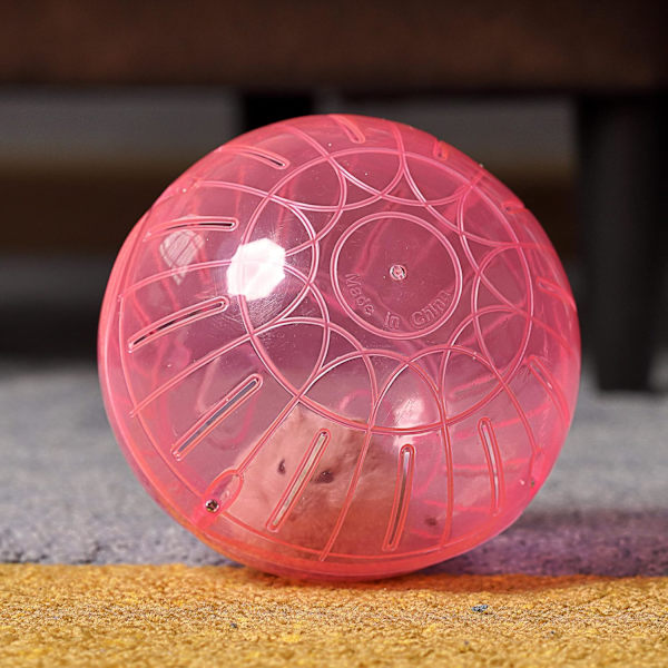 Hamsterboll Gnagarleksak Spel Övningsboll Interaktiv Hamsterleksak (10cm)