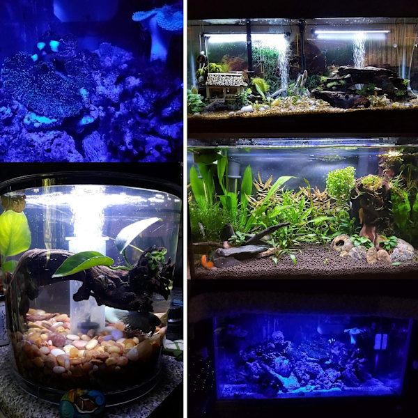 Nedsænkelig LED-akvarielys, fiskebakslys med timer automatisk tænd/sluk, hvid