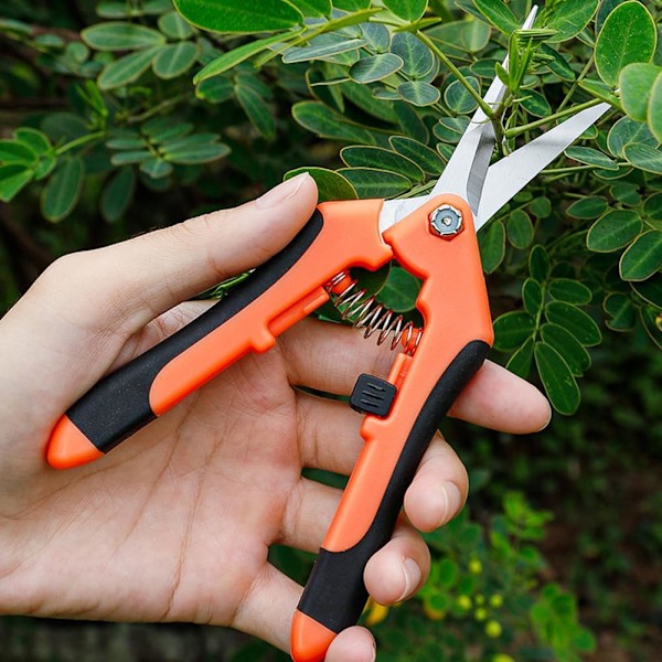 Trädgårdssaxar, Raka Spetsar, Rostfritt Stål, Handträdgårdssaxar, Växtbeskärare, Rostfritt Stål, Orange