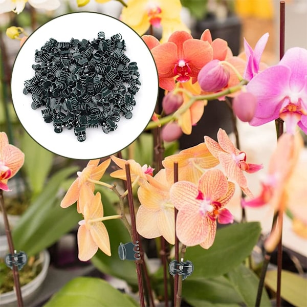Orkidéklipp, 100 st plantklipp, växtklipp, orkidéklipp, plastorkidéklipp, små klämmor, växtklipp, orkidé