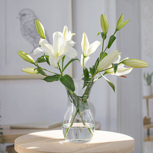 TREND FOR HOME Blomvas 23 cm Tulpanvas Glas Blomvas Dekorativ Glas Blomvas Sovrumsdekoration Transparent Blomvas