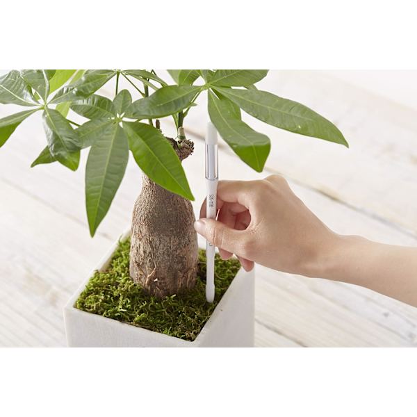 Aquameter, bevattningsindikator för växter, enkel att använda, 12 cm (liten, vit)