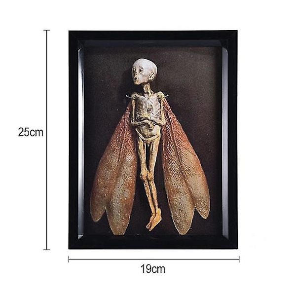 Forbannede gjenstander Død fe skyggeboks display Håndlaget skummel mumifisert fe lik Hotellbibliotek Bar Stue Hjem Kunst Ornament Halloween-dekor