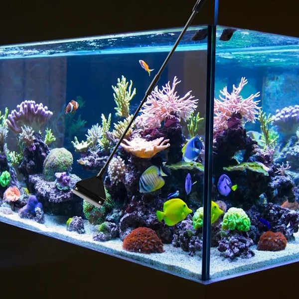 Algeskraber, Algeskraber Rengøringsmiddel, Akvarieskraber, Skraber til Akvariealge Rengøringsmidler, Akvarierengøringsbarberblad, Algeskraber til Akvarium (62
