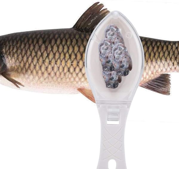 Fiskfjellsfjernere i plast, skrapebørste