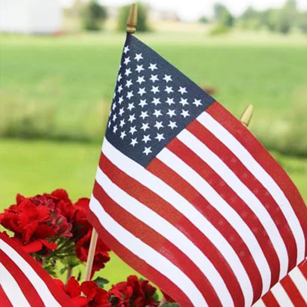LOT  USA Wooden Stick Flag - Juli 4. dekorasjon, Veteran Party, Mini Ameri
