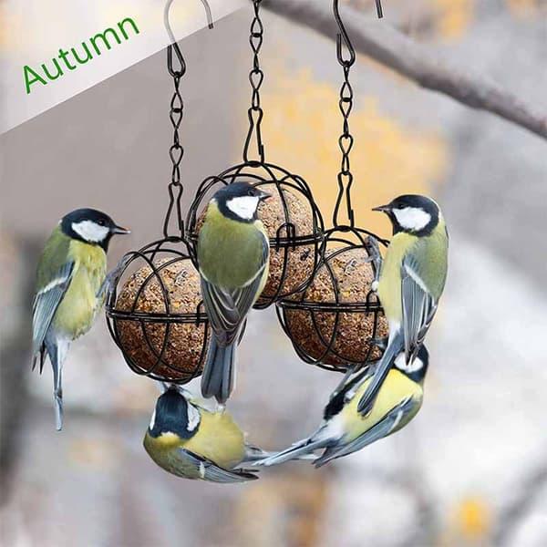 Fuglefoderautomat, sæt med 4 fuglefoderautomater - kompatible fedtkugler - Fuglefoderautomat med S-formede kroge - Diameter: 7,5 cm, udendørs fuglefoderautomat - Sort