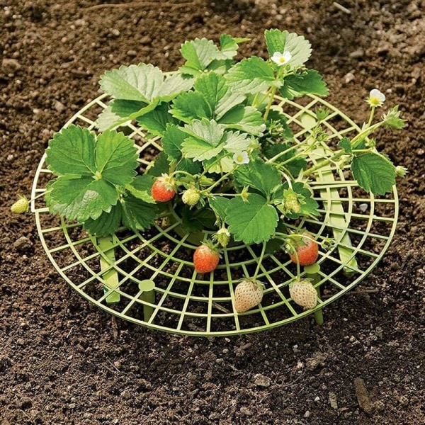 Planteringsrammer Plast Jordbærplanteposer Voksende Jordbærpose Jordbærstativholder Grønn Jordbærplanteringspose for Planting Jordbær Urter Tomater 10stk