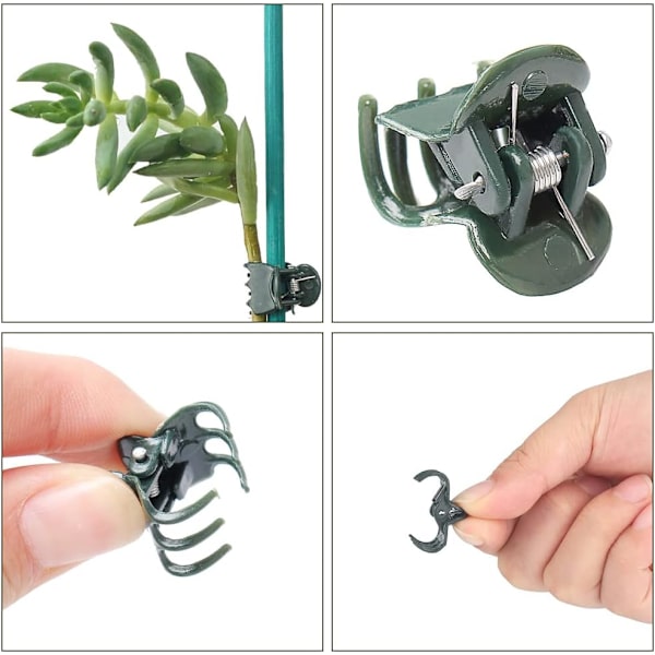 Orkidéklipp, 100 st plantklipp, växtklipp, orkidéklipp, plastorkidéklipp, små klämmor, växtklipp, orkidé