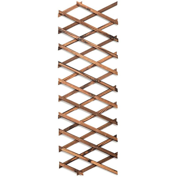 Træ espalier vægplanter, udvidelig espalier til klatreplanter og vin
