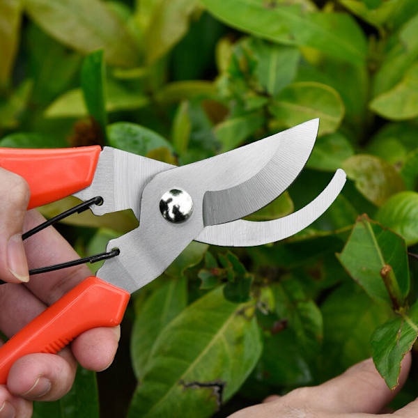 Beskärningssax med raka blad, Non-stick-belagda stålblad