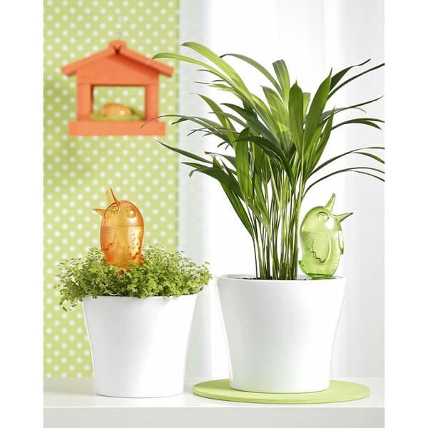 Tilbehør til planter, transparent 15X5cm 2 stk. orange blå