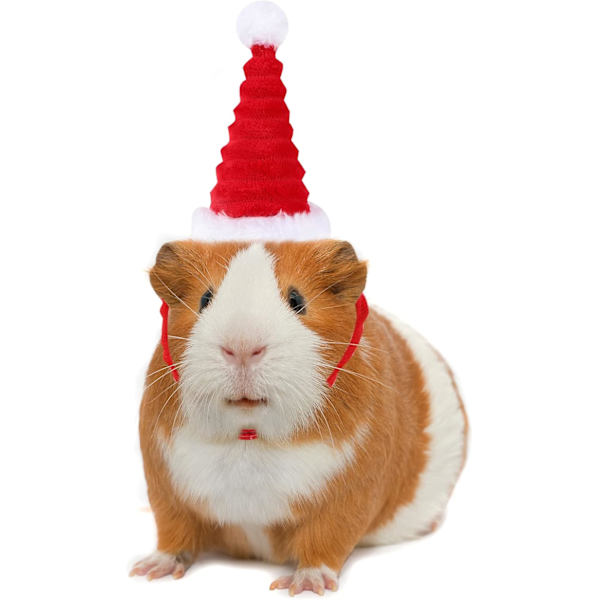 Pakke med liten julehatt for kjæledyr, liten julehatt for kanin, hamsterjulehatter for hamster, julehodeplagg for små dyr for kanin, hamster