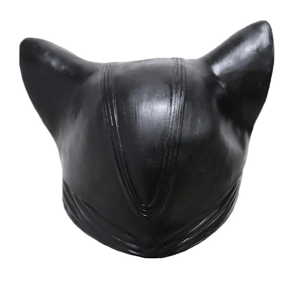 Kvinde Kat Selina Kyle Maske Bruce Wayne Kostume Latex Fancy Voksen