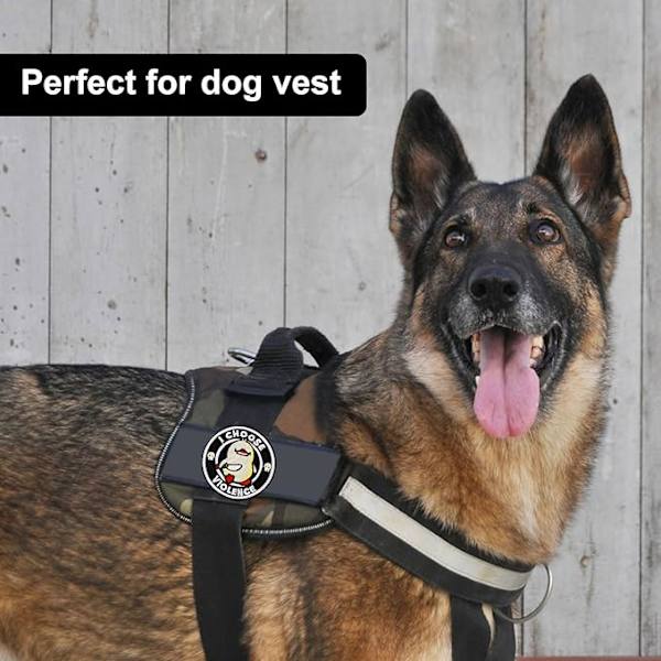 7,87 cm sjove morale-patches - broderede patches med velcro-bagside - påstrygelige patches til rygsække, jakker, hatte, hunde-seler og veste