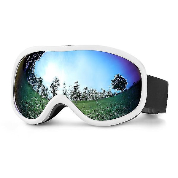 Snöskidglasögon Dubbla lager Linser Skid Snowboardglasögon