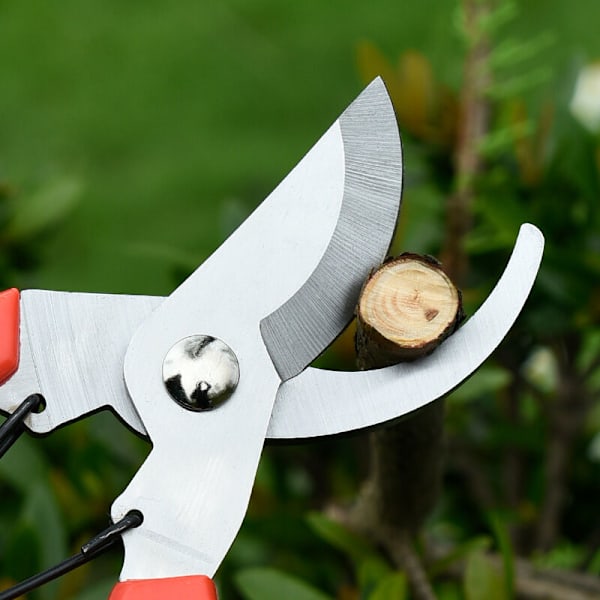 Beskärningssax med raka blad, Non-stick-belagda stålblad