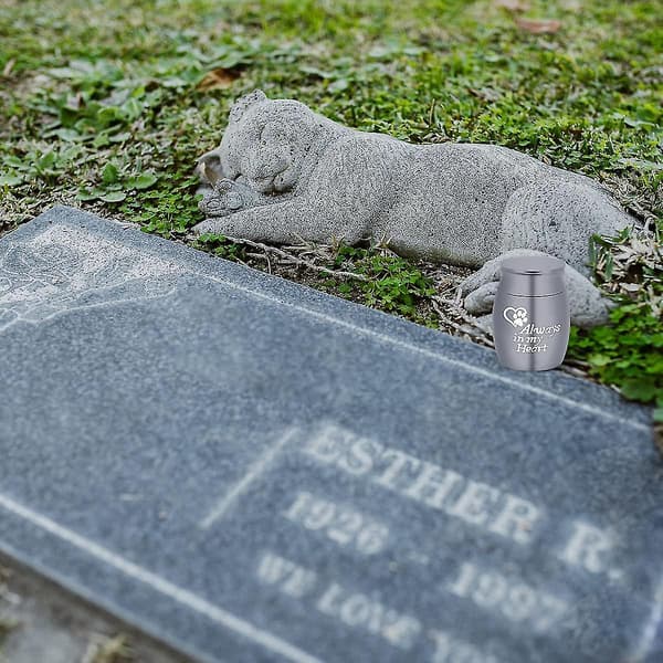 1 stk. Mini urne til hunde i rustfrit stål, lille urne til kæledyr, kremering