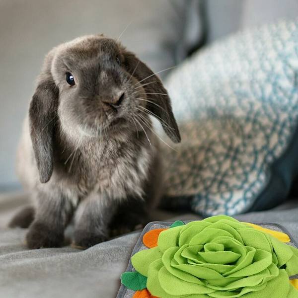 Pet Sniffing Mat Nose Feeding Mat Training Rabbit Feeding Activity Mat grønn