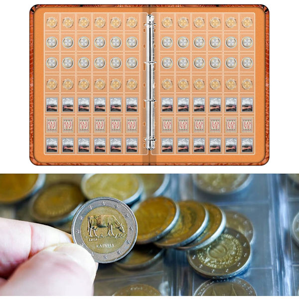 Myntbindare med blad, Plastmyntalbumfickor med 9 standardhål 42 fack för myntsamlare
