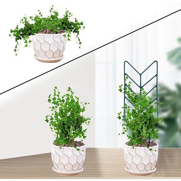 Indendørs plantegitter til potteplanter, havegitter til klatreplanter, 12 tommer metalstøtte, havegitter til klatreplanter
