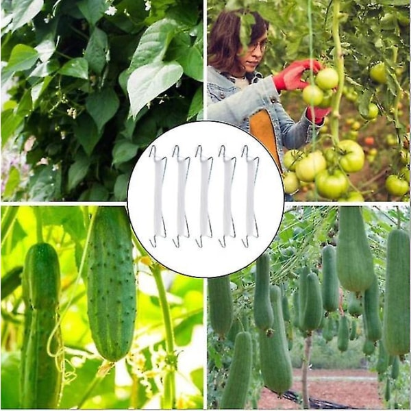 10 stk. haveplanter til tomatplanter J-formet tomatplanteholder