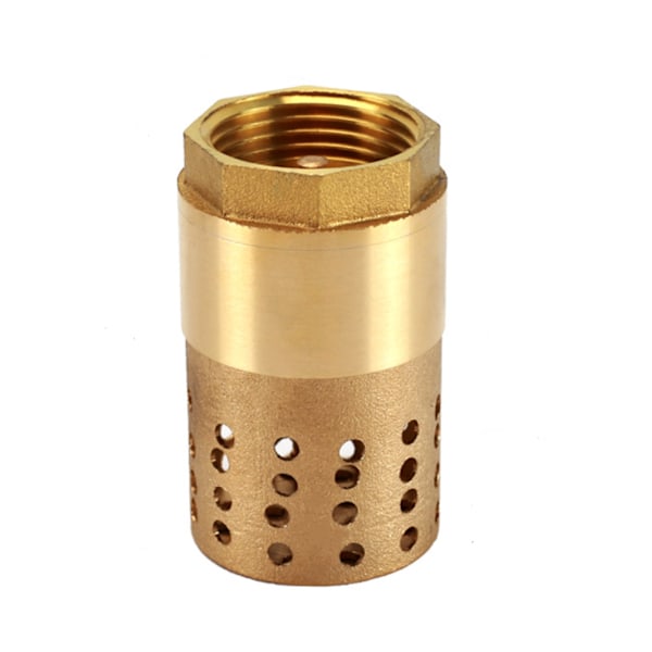 inch pump check valve - foot valve check valve (1 inch)