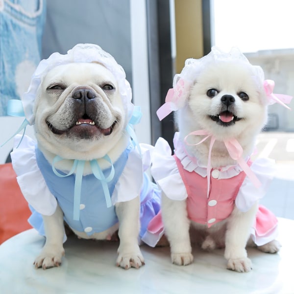 Pet Cat Hund Cosplay Maid Outfit Kläder Halloween Pet Kostym för Halloween