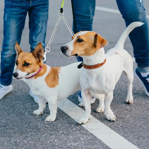 Metallisk dobbel hundekobling, flokefri tyggebestandig hundekjede hundekobling forlengelseskobling for 2 hunder 40CM sølv