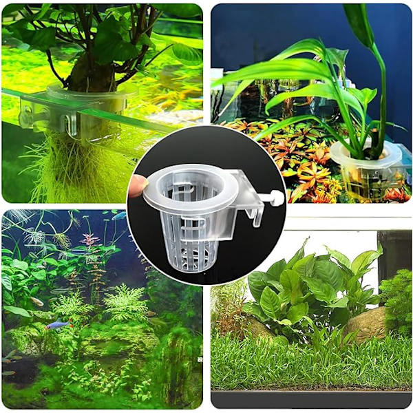 Akvarieplanteholder Planter Pot - Mini Hengeholder med krok for å dyrke akvaponiske planter Landskap Akvascape Vannpynt, 2 stykker, Transp