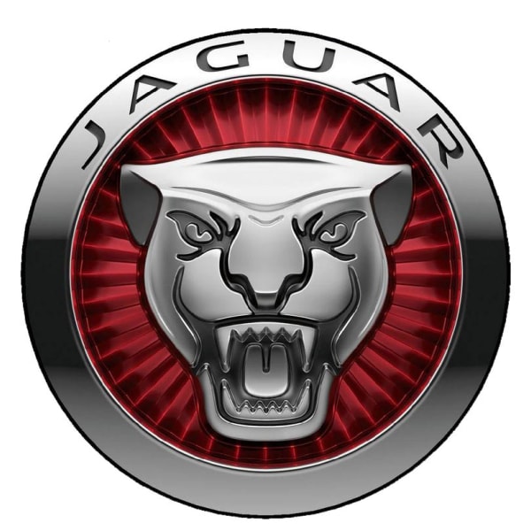 Jaguar dekal, finns i 5 storlekar 14 cm i diameter