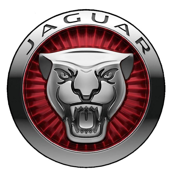 Jaguar dekal, finns i 5 storlekar 21 cm i diameter