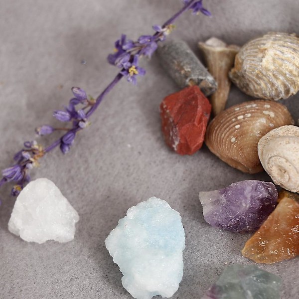 Pedagogiskt Geologi Vetenskapsset Sten & Mineral Samling GN201 - 20-pack (C)