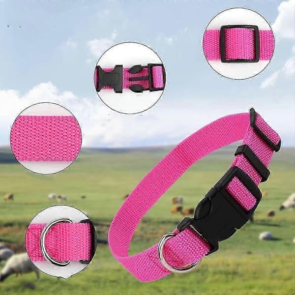 Gethalsband med klockor 5-pack små husdjur får boskap